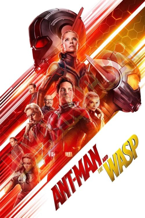 Poster Ant-Man and the Wasp