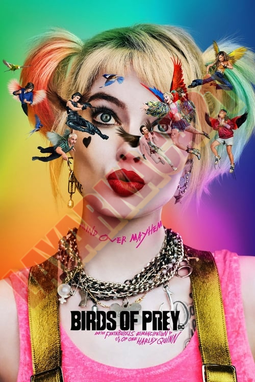 Poster Birds of Prey (and the Fantabulous Emancipation of One Harley Quinn)