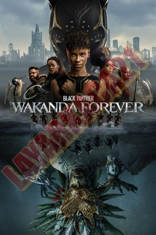 Poster Black Panther: Wakanda Forever