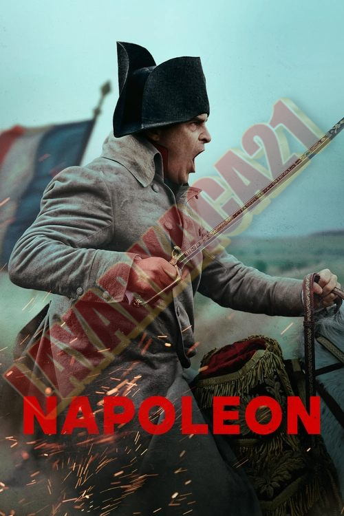 Poster Napoleon